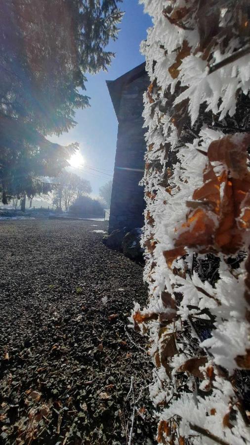 Vila Les 12 Bois Du Cerf Tailles Exteriér fotografie